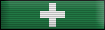 First Medical Aid Badge